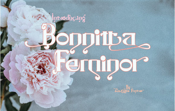 Bonnitta Feminor: A Vintage Display Font for Branding